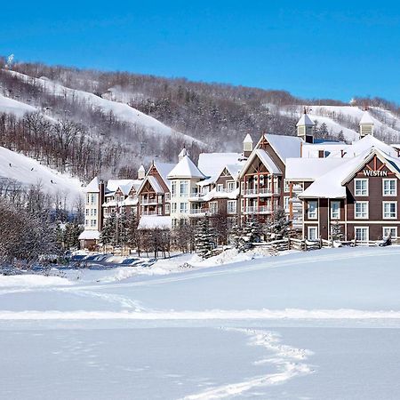 Hotel The Westin Trillium House, Blue Mountain à Blue Mountains Extérieur photo