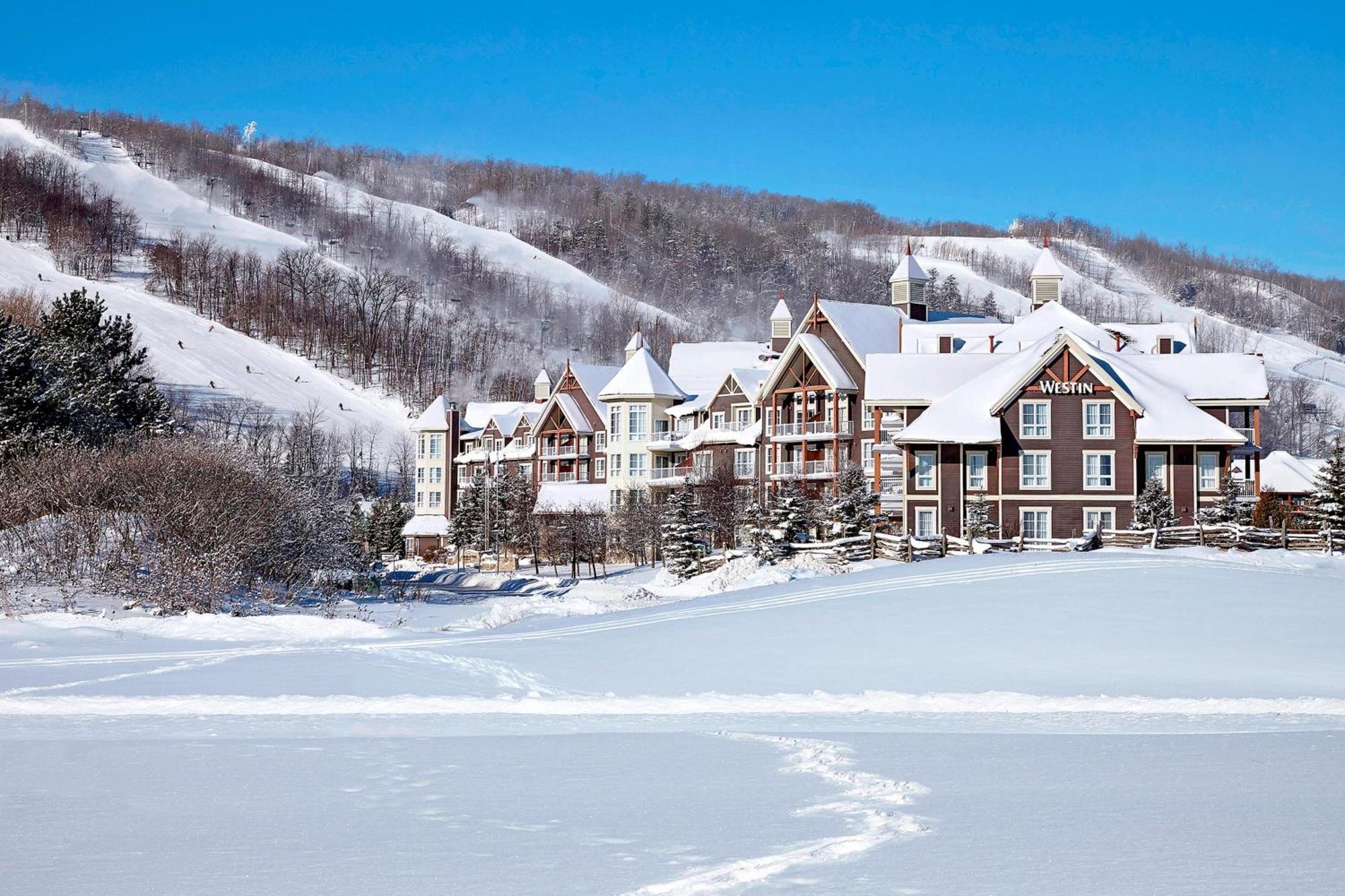 Hotel The Westin Trillium House, Blue Mountain à Blue Mountains Extérieur photo